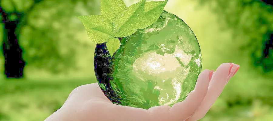 再生紙は森林を守る