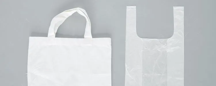 エコバッグってそもそも何？