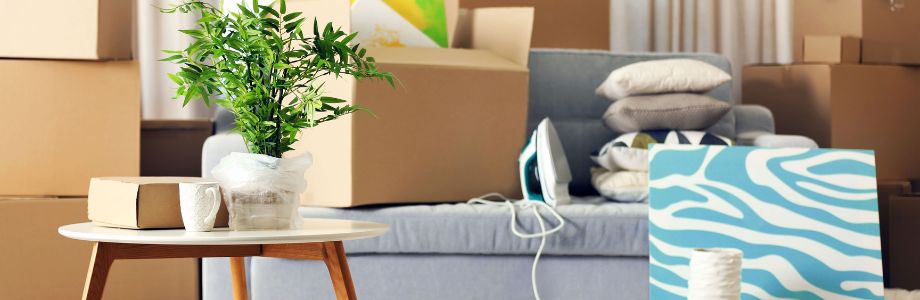 生活雑貨や文房具など人気アイテムランキング