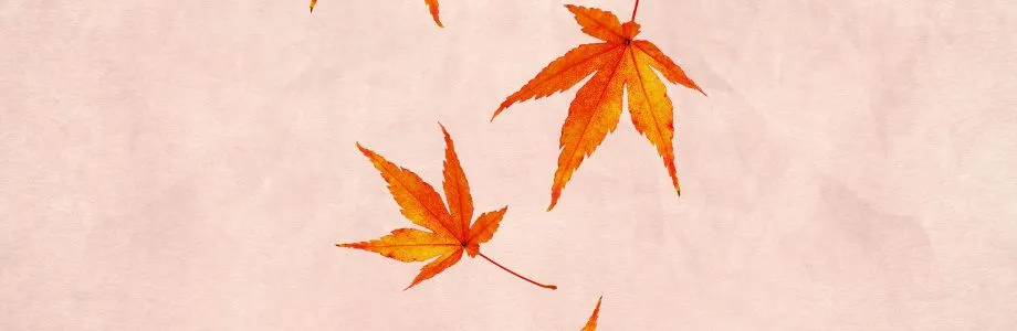 秋の展示会にオススメのノベルティ