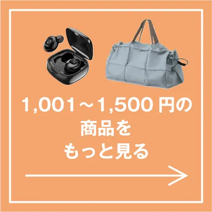 1,001〜1,500円の商品をもっと見る