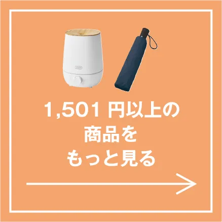 1,501円以上の商品をもっと見る