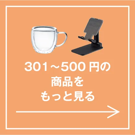 301〜500円の商品をもっと見る