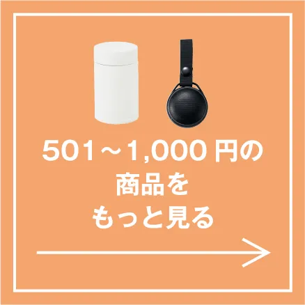 501〜1,000円の商品をもっと見る