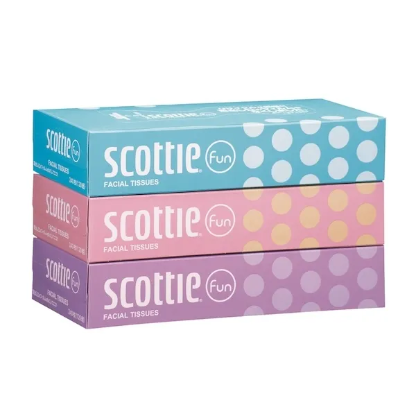 スコッティティシューファン１２０組３箱パック